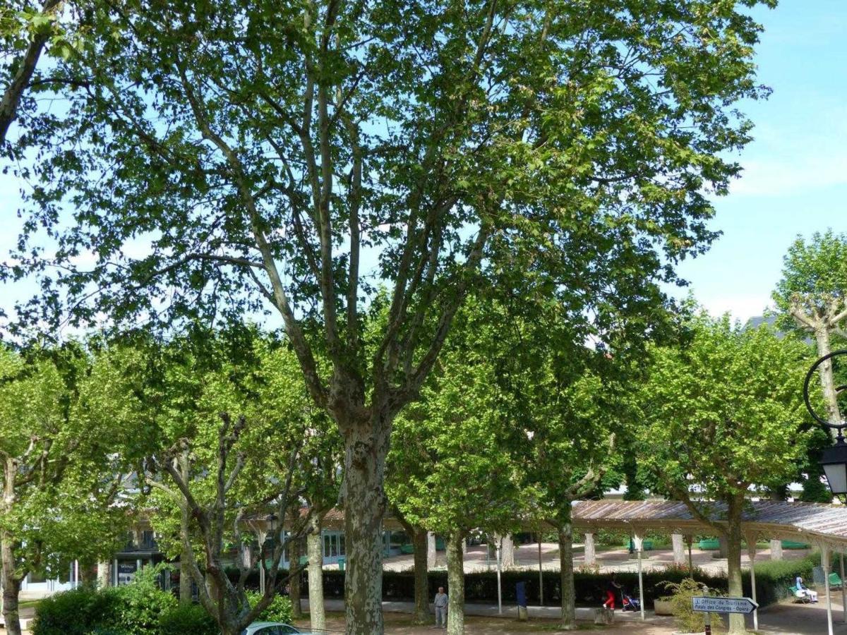 Appartement Elegant Et Confortable Au Coeur De Vichy, Pres De L'Opera Et Des Parcs Napoleon III - Fr-1-489-303 Eksteriør bilde